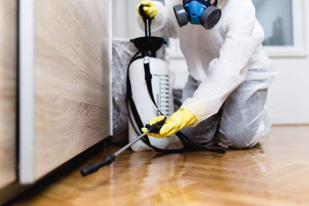 Best Cockroach Control Services  in Highland, AR