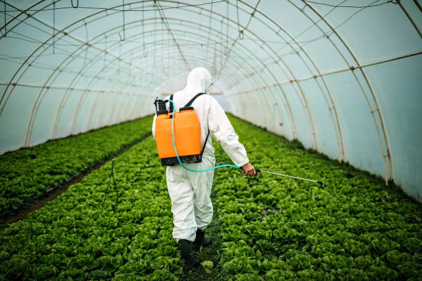 Best Pest Control for Homes  in Highland, AR