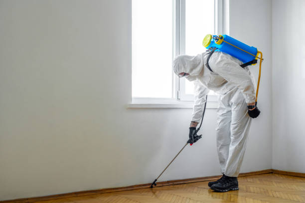 Trusted Highland, AR Pest Control Experts
