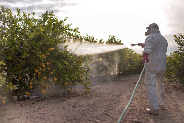 Best Commercial Pest Control Services  in Highland, AR