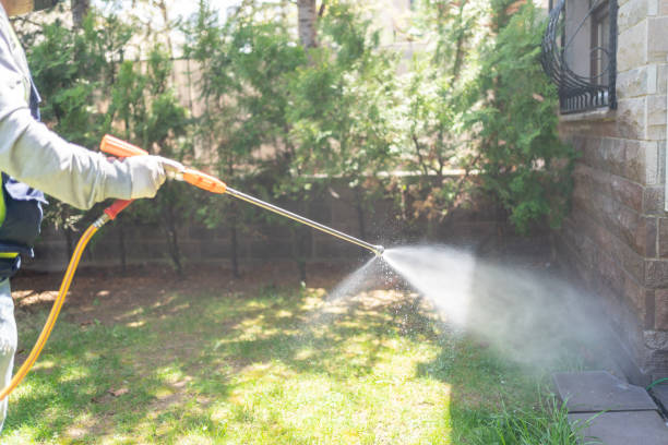 Best Local Pest Control Services  in Highland, AR