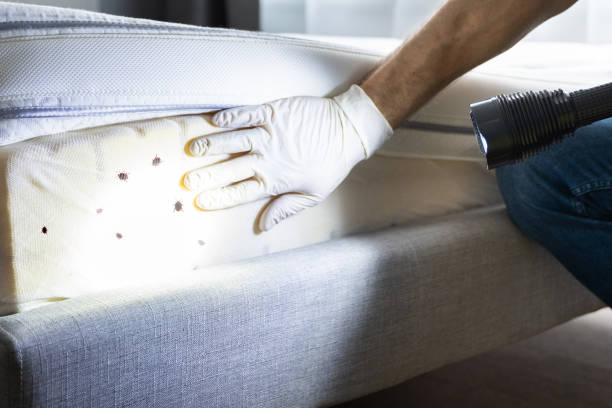 Best Affordable Pest Control Services  in Highland, AR