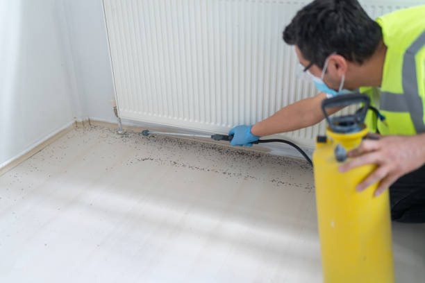 Best Mosquito Control Services  in Highland, AR