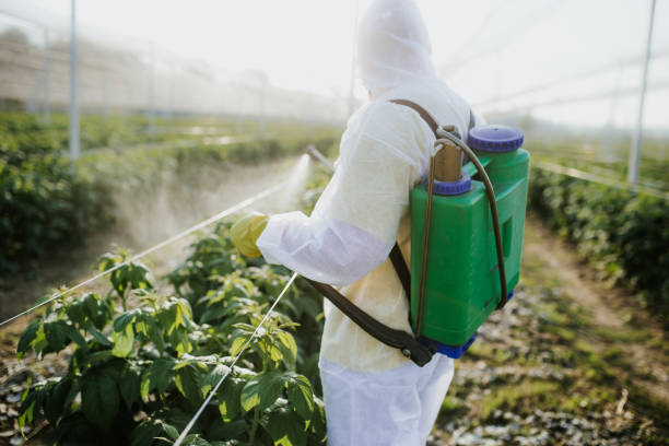 Best Pest Control Near Me  in Highland, AR